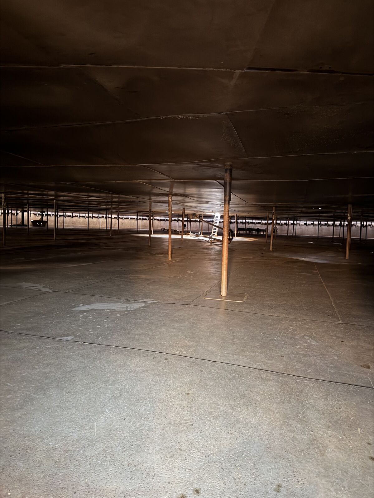 Tank floor after cleaning, support columns visible